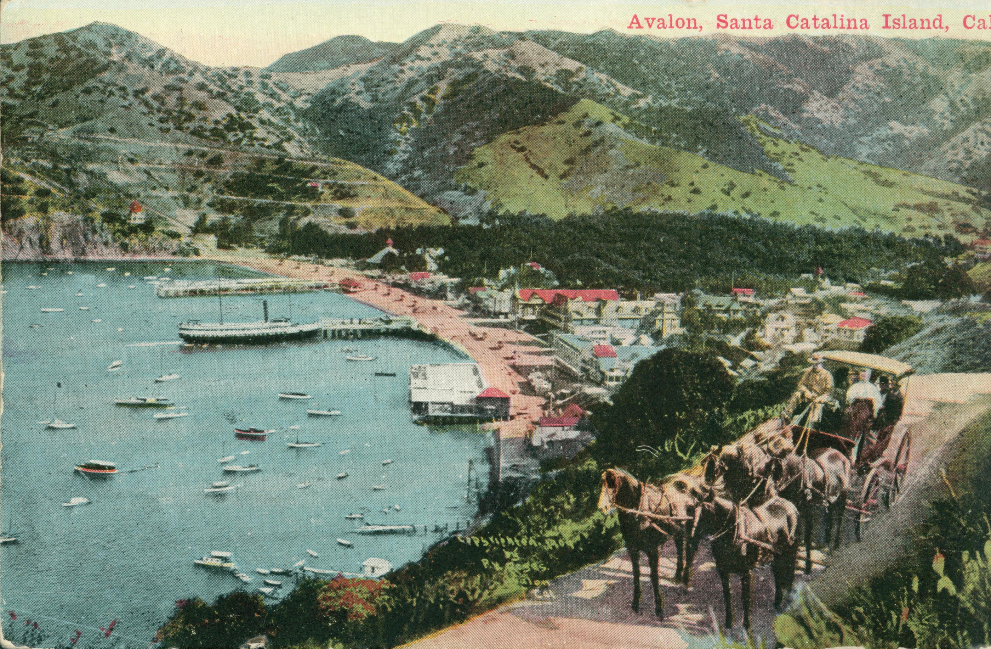 This postcard shows a horse-drawn carriage paused on a path overlooking the harbor on Catalina Island.